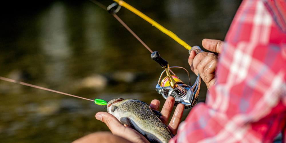Pesca en Corrientes: Los mejores lugares del Paraná